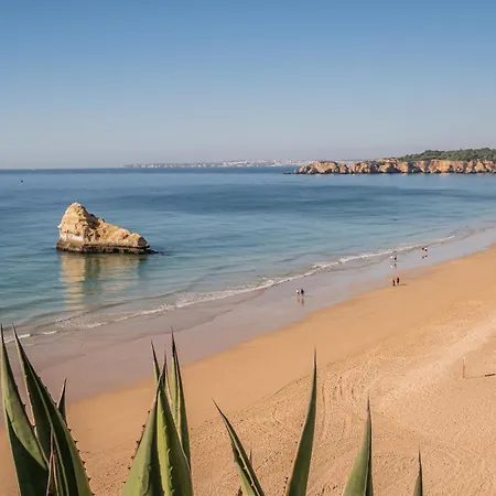 Apartamento Sea View 5h